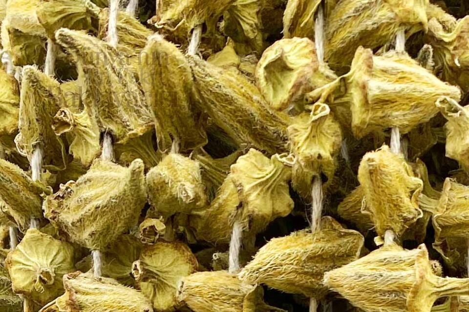 Dried Okra