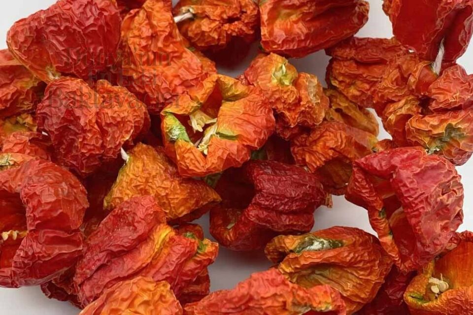 Dried Hot Peppers for Stuffing