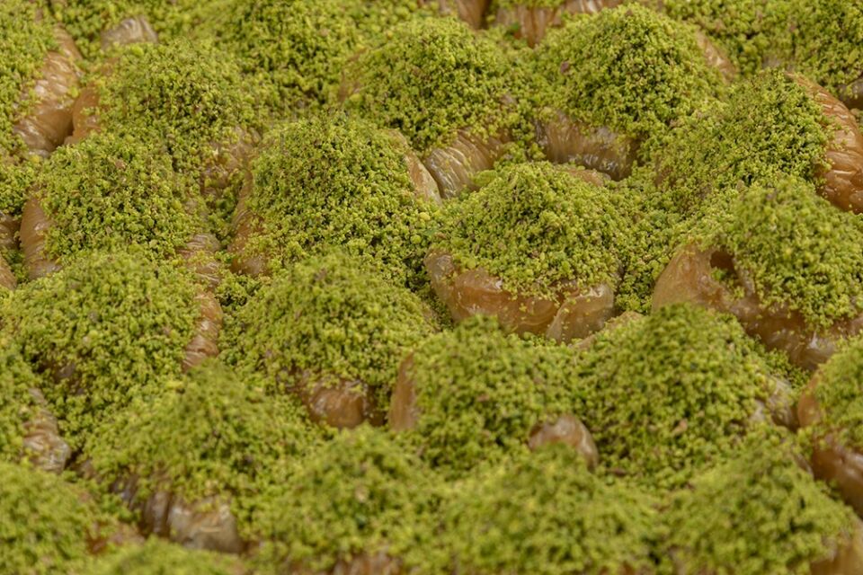 Bülbül Yuvası (Sarıgı Burma)